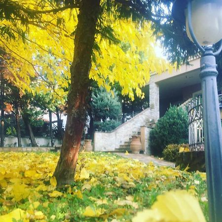 Arxontiko Vetrina Otel Dış mekan fotoğraf