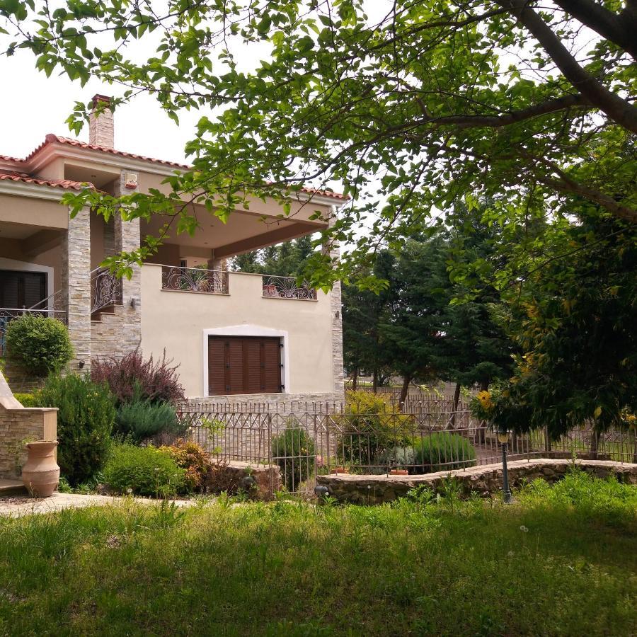 Arxontiko Vetrina Otel Dış mekan fotoğraf