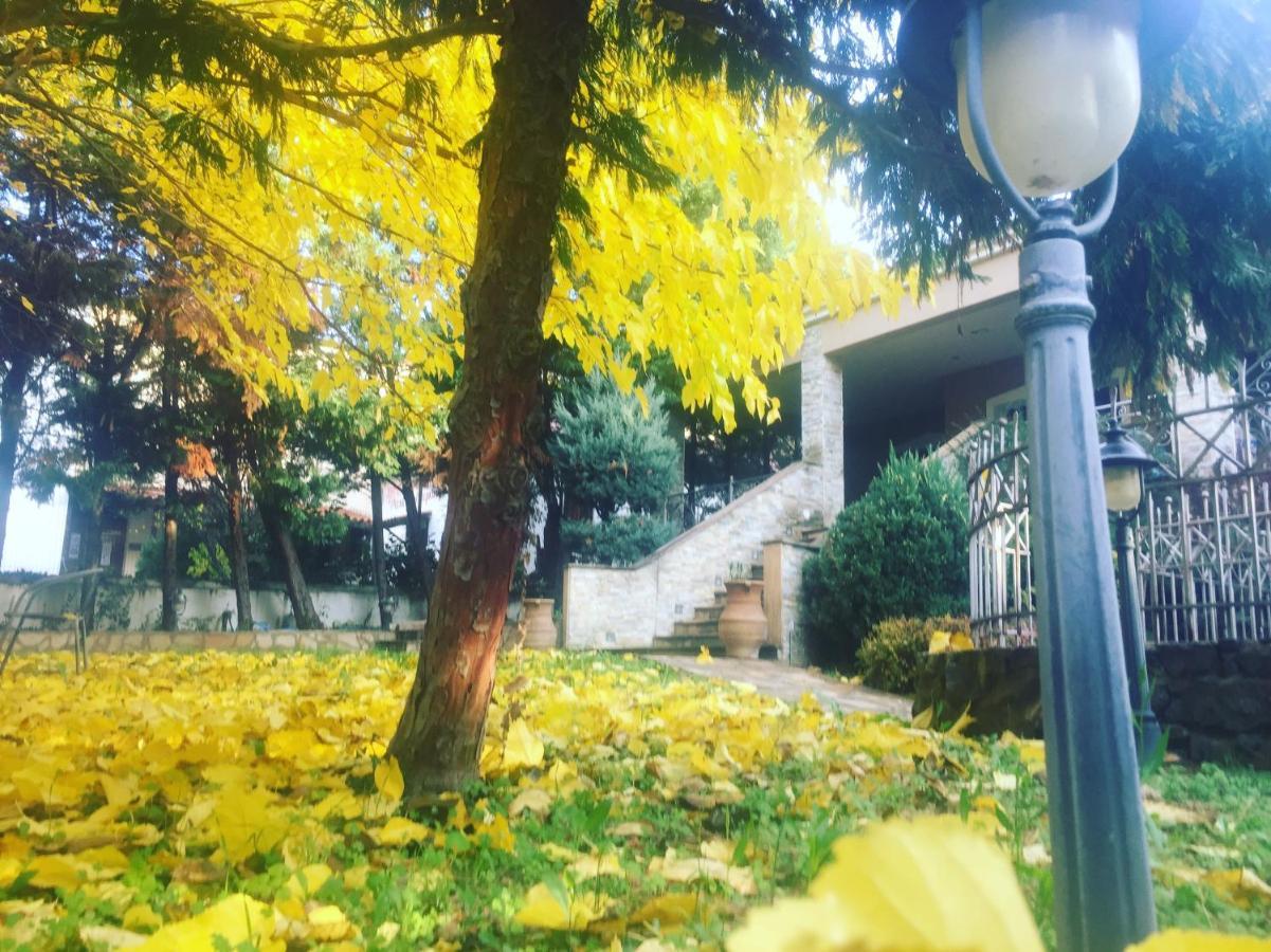 Arxontiko Vetrina Otel Dış mekan fotoğraf