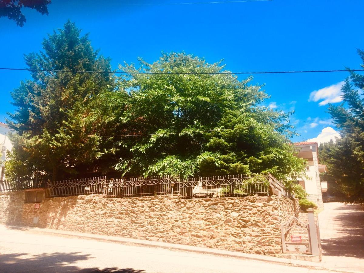 Arxontiko Vetrina Otel Dış mekan fotoğraf