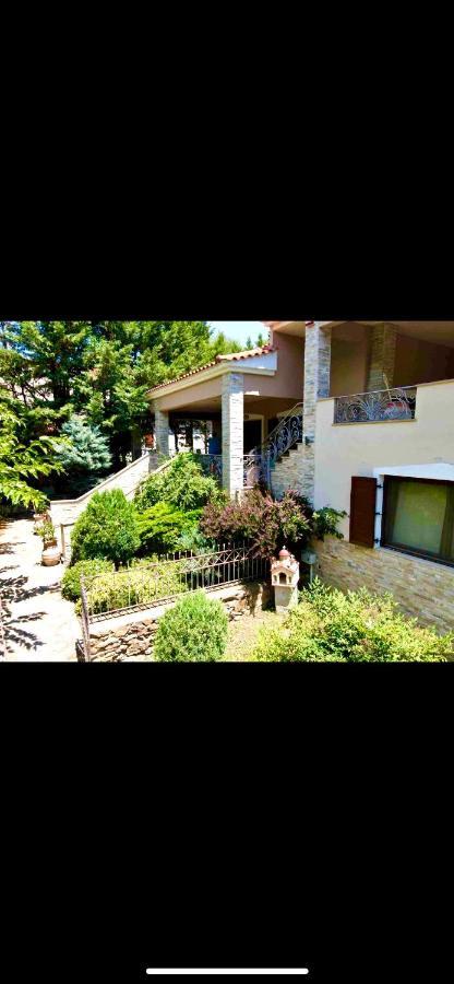 Arxontiko Vetrina Otel Dış mekan fotoğraf